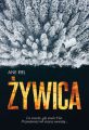 Zywica
