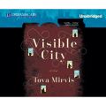 Visible City (Unabridged)
