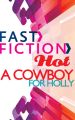 A Cowboy for Holly