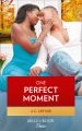 One Perfect Moment