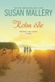 Kolm ode. Blackberry saare romaan, 2. raamat