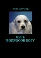 Пять вопросов богу
