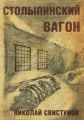 Столыпинский вагон, или Тюремные приключения мэра