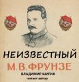 Неизвестный М.В. Фрунзе