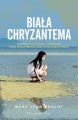 Biala chryzantema