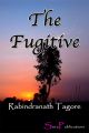 The Fugitive