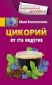 Цикорий от ста недугов Цикорий от ста недугов