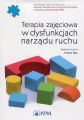 Terapia zajeciowa w dysfunkcjach narzadu ruchu