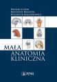 Mala anatomia kliniczna