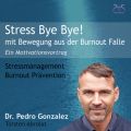 Stress Bye Bye! Mit Bewegung aus der Burnout Falle - Stressmanagement & Burn-out Pravention - ein Motivationsvortrag