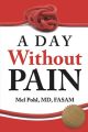 A Day without Pain