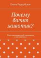 Почему болит животик? Простым языком об очевидном и непонятном