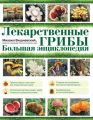 Лекарственные грибы. Большая энциклопедия