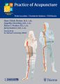 Practice of Acupuncture
