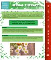 Herbal Therapy (Speedy Study Guides)