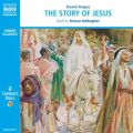 Story of Jesus