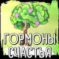 Саммари на книгу «Гормоны счастья. Приучите свой мозг вырабатывать серотонин, дофамин, эндорфин и окситоцин». Лоретта Грациано Бройнинг