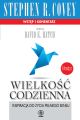 Wielkosc codzienna