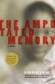 The Amputated Memory