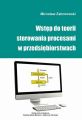 Wstep do teorii sterowania procesami w przedsiebiorstwach