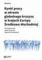 Rynki pracy w okresie globalnego kryzysu w krajach Europy Srodkowo-Wschodniej