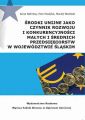 Srodki unijne jako czynnik rozwoju i konkurencyjnosci malych i srednich przeds iebiorstw w wojewodztwie slaskim