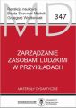 Zarzadzanie zasobami ludzkimi w przykladach