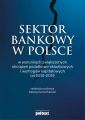 Sektor bankowy w Polsce w warunkach zwiekszonych obciazen podatkowo-skladkowych i wymogow kapitalowych lat 2015-2019