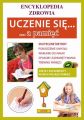 Uczenie sie a pamiec