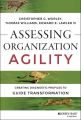Assessing Organization Agility