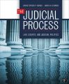 The Judicial Process