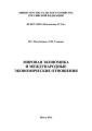 Мировая экономика и международные экономические отношения