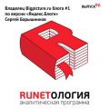 Владелец Bigpicture.ru блога #1 по версии «Яндекс.Блоги») Сергей Барышников