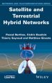 Satellite and Terrestrial Hybrid Networks