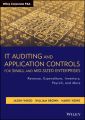 IT Auditing and Application Controls for Small and Mid-Sized Enterprises. Revenue, Expenditure, Inventory, Payroll, and More