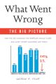 What Went Wrong: The Big Picture