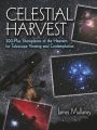 Celestial Harvest