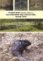   (Castor fiber L.)       (  -    )