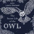 Secret Life of the Owl