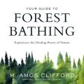 Your Guide to Forest Bathing