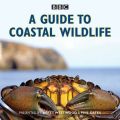 Guide to Coastal Wildlife