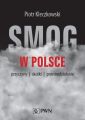 Smog w Polsce