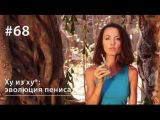 Ху из хy*: эволюция пениса