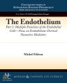 The Endothelium, Part I