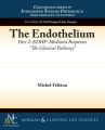 The Endothelium, Part II