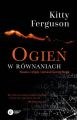 Ogien w rownaniach
