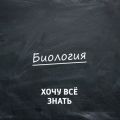 Как устроен мозг. Часть 3. Животные