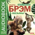 Жизнь животных. Обезьяны