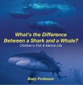 What's the Difference Between a Shark and a Whale? | Children's Fish & Marine Life