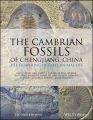 The Cambrian Fossils of Chengjiang, China